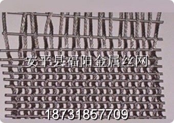 不锈钢网带
